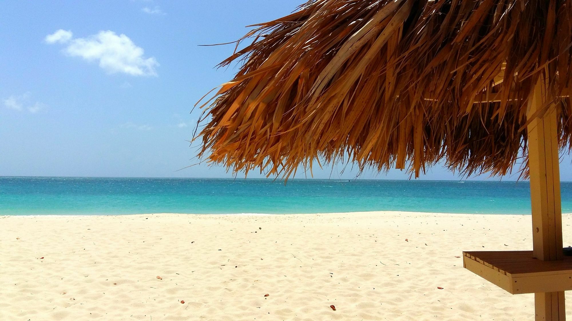 Dorado Eagle Beach Hotel Oranjestad Eksteriør billede